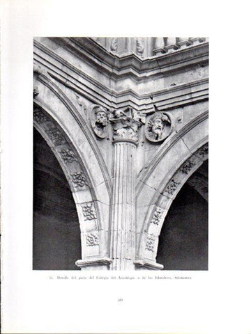 LAMINA V40979: Detalle del patio del Colegio del Arzobispo, Salamanca
