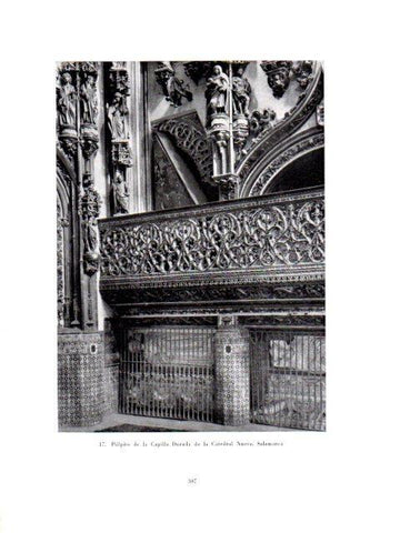LAMINA V40981: Pulpito de la Capilla Dorada, Catedral Nueva de Salamanca