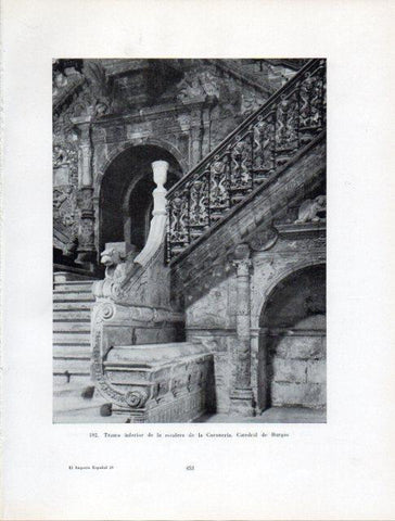 LAMINA V41056: Detalle escalera de la Coroneria, Catedral de Burgos