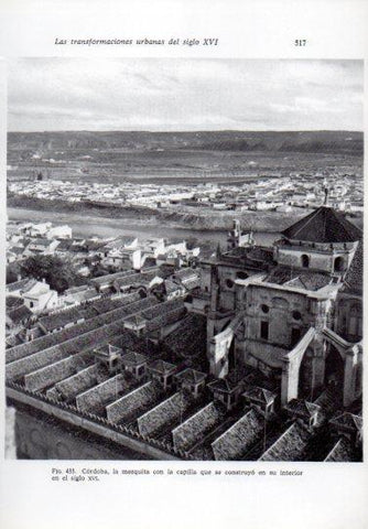 LAMINA V41344: La mezquita con la capilla vista, Cordoba