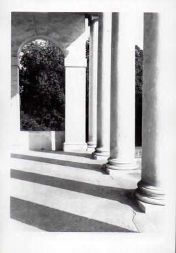 LAMINA V41416: Portico de la basilica de Palladio