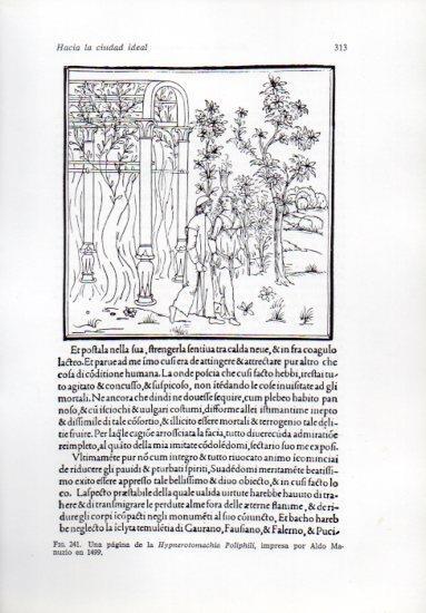 LAMINA V41266: Pagina de Hypnerotomachia Poliphili 1499