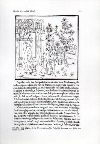 LAMINA V41266: Pagina de Hypnerotomachia Poliphili 1499