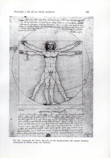 LAMINA V41277: Estudio de las proporciones del cuerpo humano por da Vinci