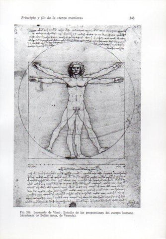 LAMINA V41277: Estudio de las proporciones del cuerpo humano por da Vinci
