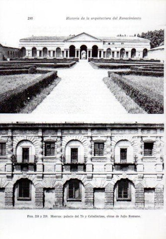 LAMINA V41255: Palacio del Te y Caballerizas en Mantua