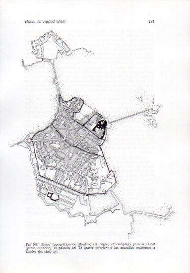 LAMINA V41251: Plano topografico de Mantua siglo XV