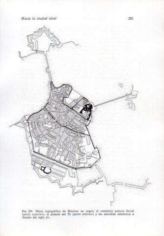 LAMINA V41251: Plano topografico de Mantua siglo XV