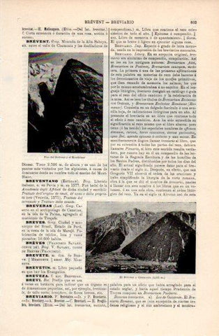 LAMINA V40757: El Brevent y Chamonix