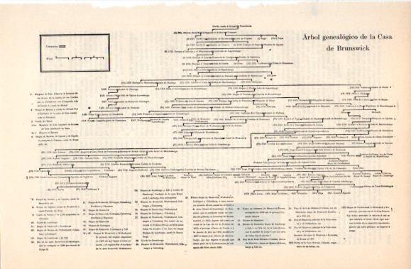 LAMINA V40818: Arbol genealogico de la Casa de Brunswick