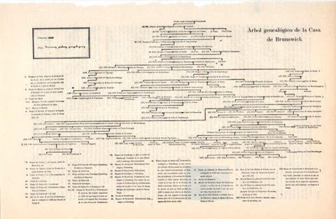 LAMINA V40818: Arbol genealogico de la Casa de Brunswick