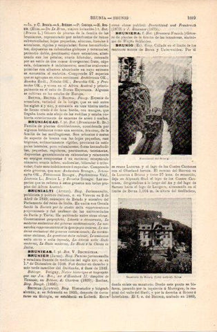 LAMINA V40807: Sanatorio de Brunig