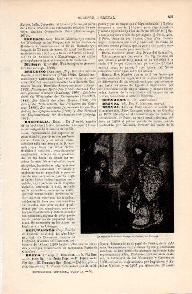 LAMINA V40746: La señorita Breval por Zuloaga