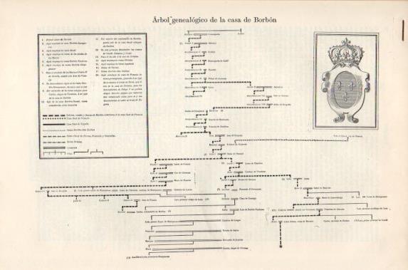 LAMINA V40929: Entrada arbol genealogico de la casa de Borbon