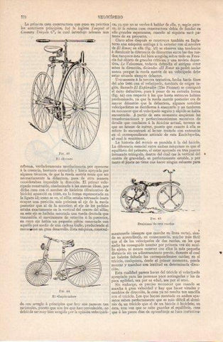 LAMINA V40463: Draisiana de tres ruedas