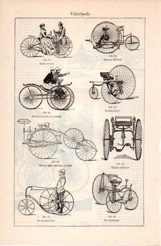 LAMINA V40496: Tipos de velocipedo