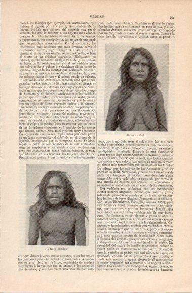 LAMINA V40423: Hombre y mujer veddah