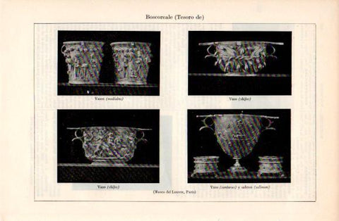 LAMINA V40662: Tesoro de Boscoreale vasos