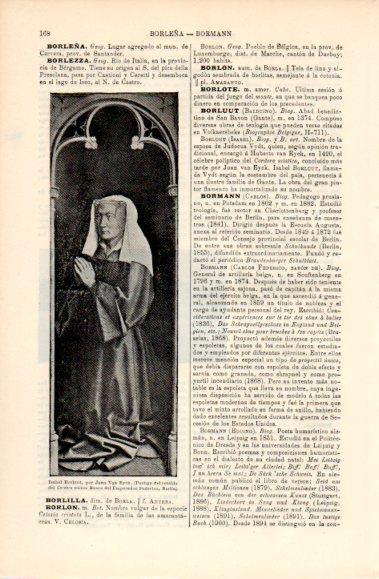 LAMINA V40654: Isabel Borluut por Van Eyck
