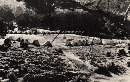 POSTAL PV10903: Frente de Juventudes O.J.E Campamento Alonso de Ercilla, Cercedilla
