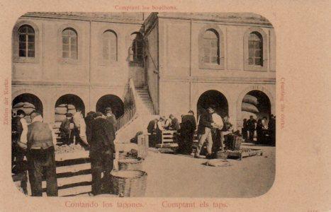 POSTAL PV10887: Contando tapones de corcho 