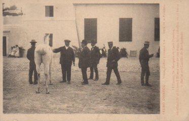 POSTAL PV10743: Marques Casa Domecq junto a General Gomez en Castillo de Macharnudo