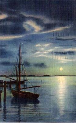 POSTAL PV11025: Moon rising over Biscayne Bay, Miami Florida