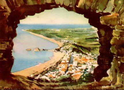 POSTAL PV11082: Blanes vista general por por Ramon Reig 