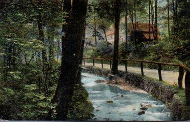 POSTAL PV10738: Camino en medio del campo