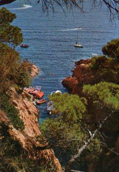 POSTAL PV10504: Costa Brava detalle de la costa