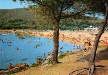 POSTAL PV10482:  Cala Montgo, La Escala