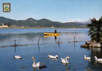 POSTAL PV10492: Cisnes en el lago de Banyoles