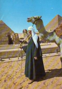 POSTAL PV10489: The Sphinx and the Pyramids of Cheops, Giza