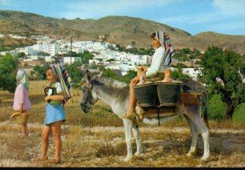 POSTAL PV10546: Niñas en burro con fondo panoramico de Almeria