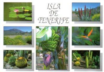 POSTAL PV10548: Naturaleza en la isla de Tenerife