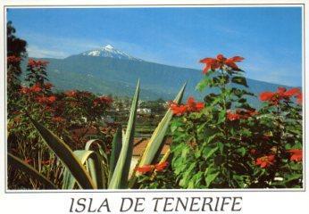 POSTAL PV10550: Valle de la Orotava, Tenerife