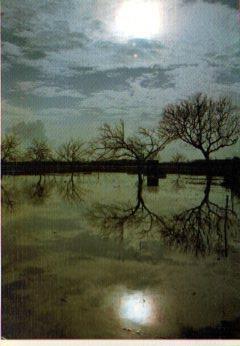 POSTAL PV10558: Alt Emporda 