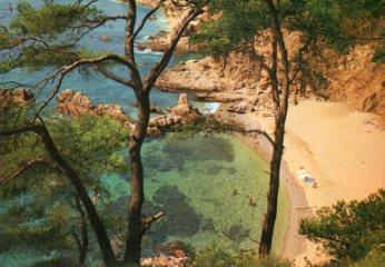 POSTAL PV10535: Marina, Costa Brava