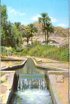 POSTAL PV10686: Jericho, Elisa's Fountain view towards Mt. of Temptation