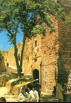POSTAL PV10656: Jerusalem, Herod's Gate