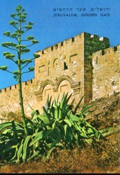 POSTAL PV10657: Jerusalem, Golden Gate