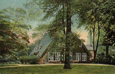 POSTAL PV10737: Casa en un jardin