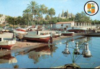 POSTAL PV10578: Palme de Mallorca vista parcial y Catedral