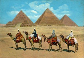 POSTAL PV10582: Camel Caravan near Giza