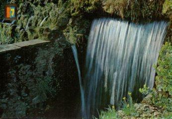 POSTAL PV10611: Olot zona volcanica Font de les Tries