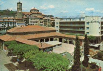 POSTAL PV10615: Olot vista parcial