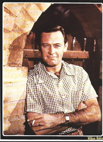 LAMINA 36787: William Holden