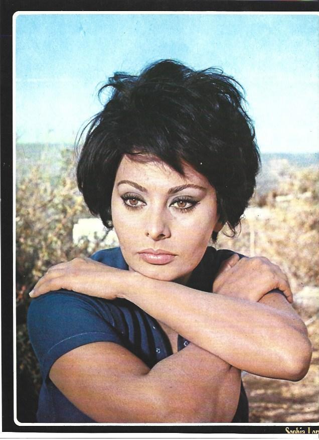 LAMINA 36750: Sophia Loren