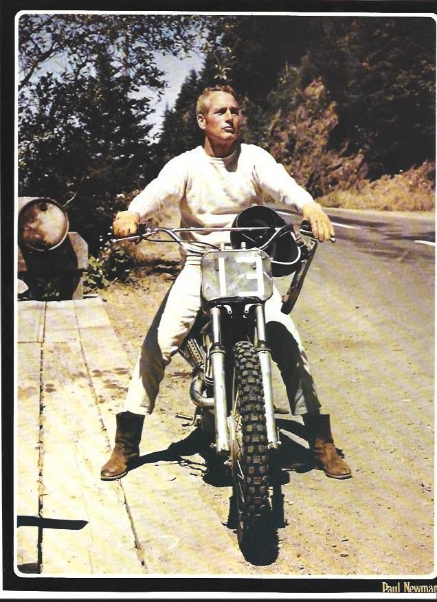 LAMINA 36761: Paul Newman