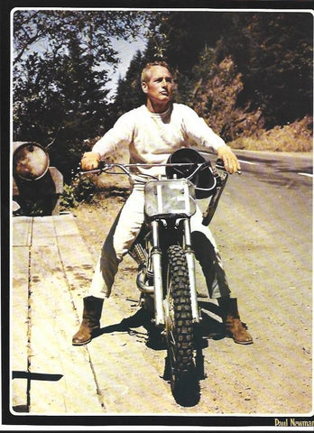 LAMINA 36761: Paul Newman